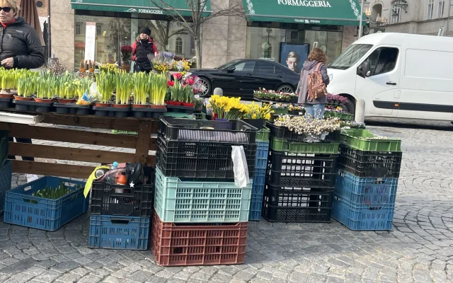 FOTO: Zelný trh po zimě ožívá. Lidé tam nakoupí bylinky nebo sazenice