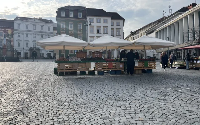 FOTO: Zelný trh po zimě ožívá. Lidé tam nakoupí bylinky nebo sazenice