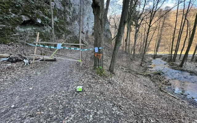 V Moravském krasu zahnízdil vzácný sokol, ochranáři uzavřeli okolí jeskyně Jáchymka