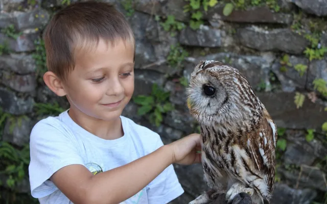 Zámek Plumlov zve na Requiem za rytíře