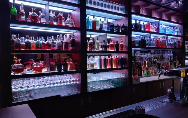 Znojemské bary podle celníků nabízely pochybný alkohol. Běžná praxe, míní majitel