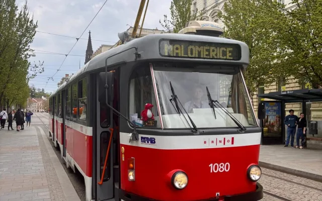Brňané se rozloučili s ikonickými šalinami, pro charitu přitom vybrali desítky tisíc