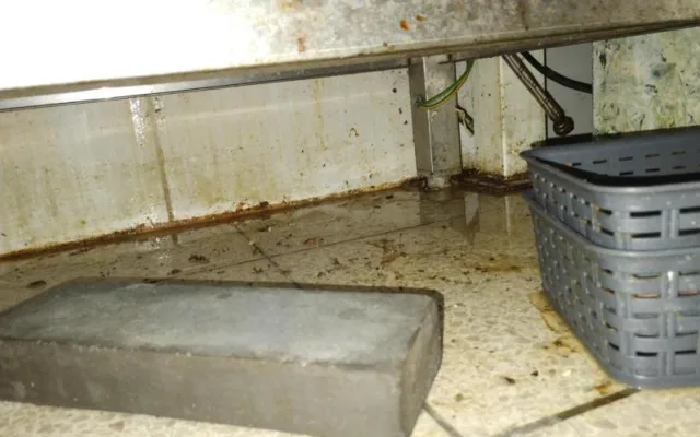 Špína, plíseň i hmyz. Inspektoři zavřeli bistro v Hodoníně
