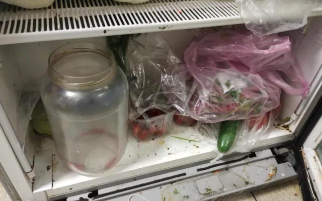 Špína, plíseň i hmyz. Inspektoři zavřeli bistro v Hodoníně