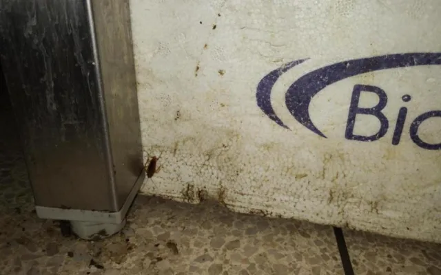 Špína, plíseň i hmyz. Inspektoři zavřeli bistro v Hodoníně