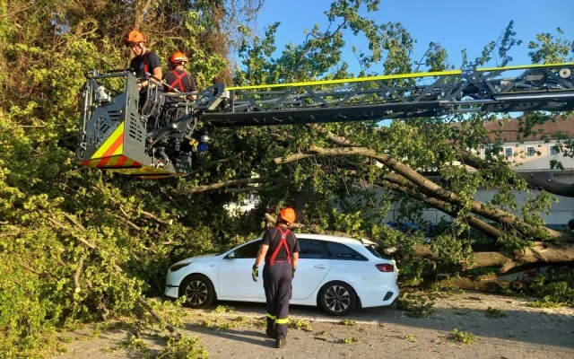 Hořel les, kombajn i pole. Jihomoravští hasiči řešili v pondělí 183 událostí