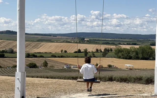FOTO: Kousek Provence na Moravě. Levandulová pole ve Starovičkách stále kvetou