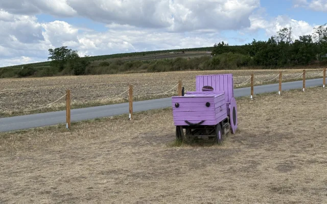 FOTO: Kousek Provence na Moravě. Levandulová pole ve Starovičkách stále kvetou