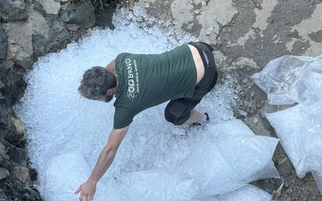 FOTO: Tunu ledu pro zvířata. Brněnská zoo bojuje s tropy