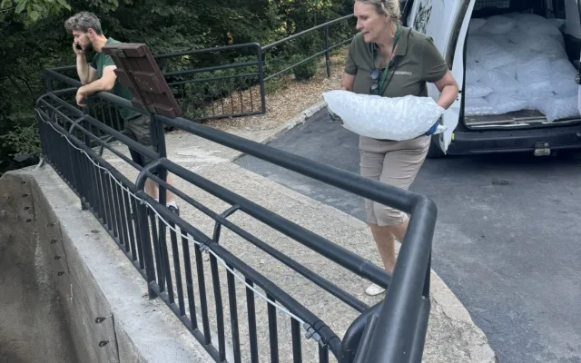 FOTO: Tunu ledu pro zvířata. Brněnská zoo bojuje s tropy
