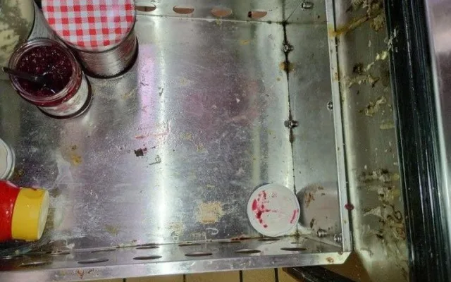 Mrtví hlodavci i hmyz. Inspektoři zavřeli restauraci ve Strážnici