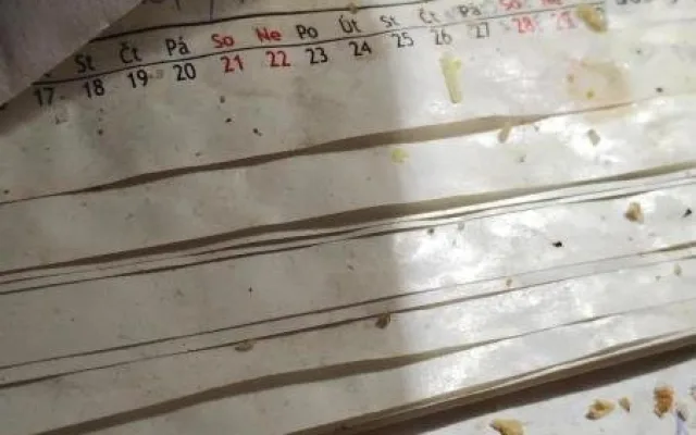 Hlodavci a špína. V zázemí restaurace na Hodonínsku se zřejmě moc neuklízelo