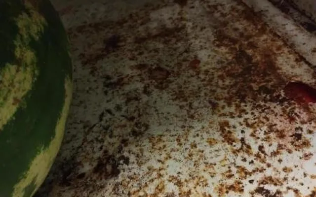 Hlodavci a špína. V zázemí restaurace na Hodonínsku se zřejmě moc neuklízelo