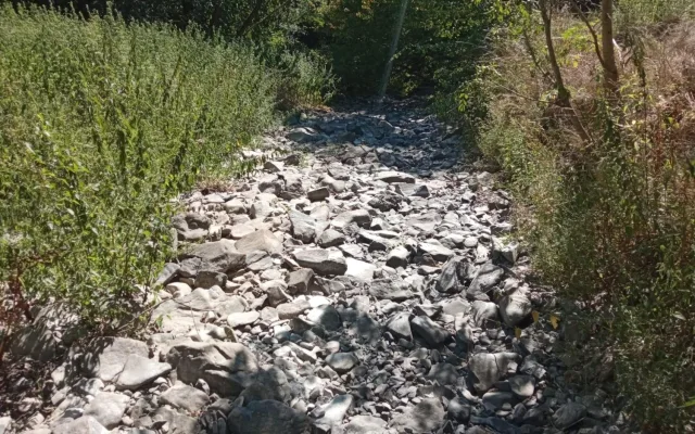 Potok Bílá voda v Moravském krasu vyschnul, raci a ryby umírají ve velkém