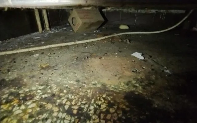 Mrtví hlodavci i hmyz. Inspektoři zavřeli restauraci ve Strážnici