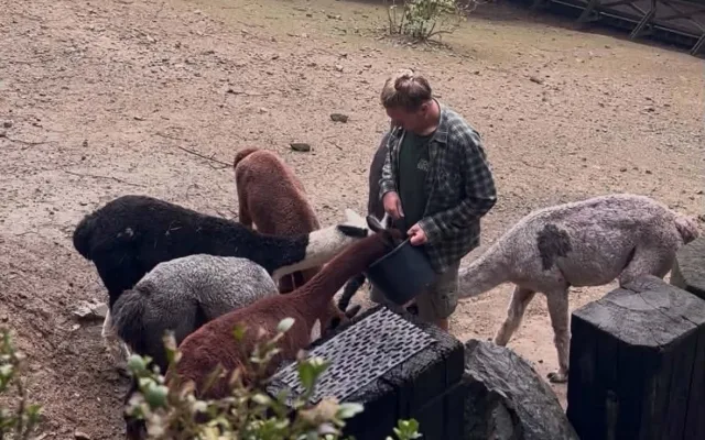 Déšť návštěvníky brněnské zoo neodradil. Poznávali život zvířat ve stádech
