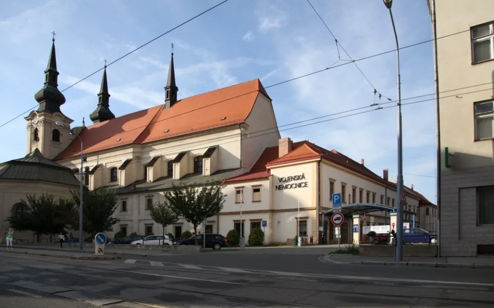vojenska-nem