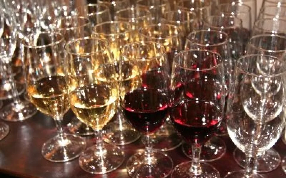 vino