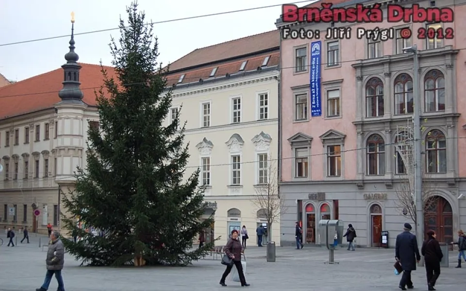Vánoční strom na náměstí Svobody