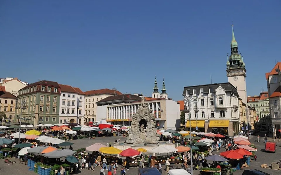 Zelný trh