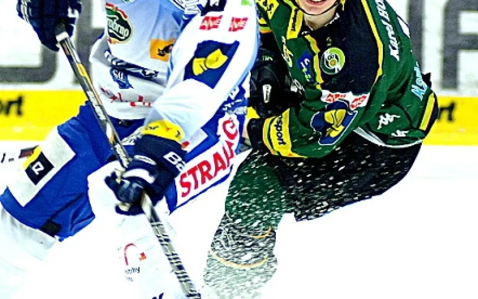 Švršek a Vlach