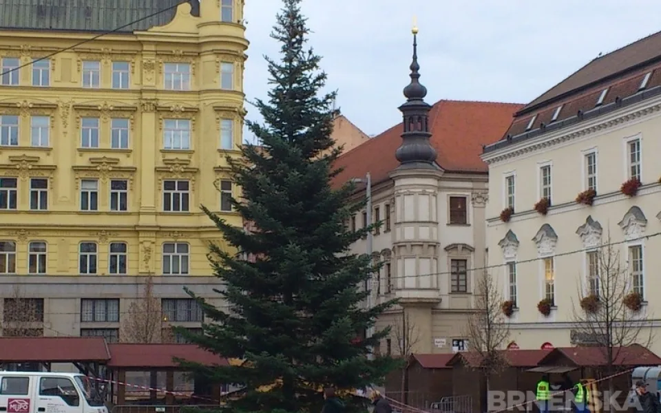 Vánoční strom na náměstí Svobody, foto: Brněnská Drbna, David Zouhar