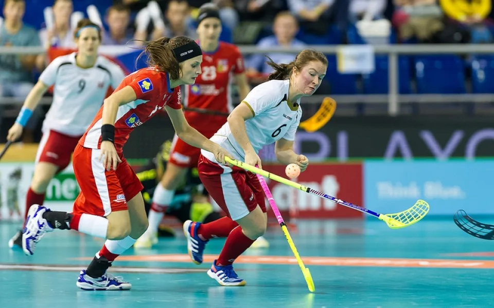 Česko - Norsko. Zdroj: WWFC 2013