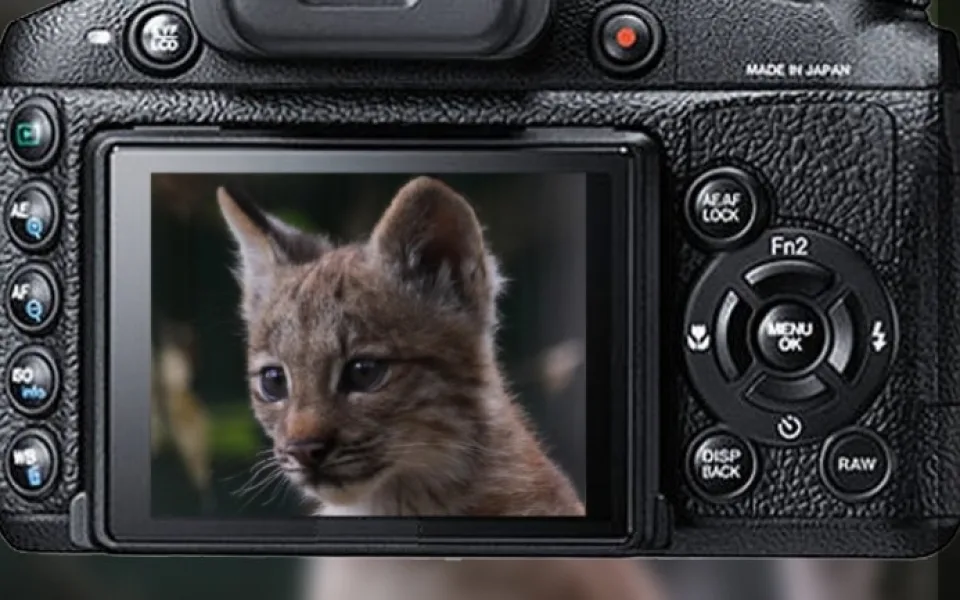 Z vítězných fotek zoo vznikne kalendář, foto: Zoo Brno