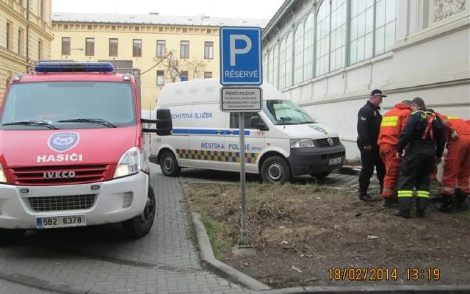Uvězněnou kočku vyprošťovali hasiči i strážníci, foto: Městská policie Brno