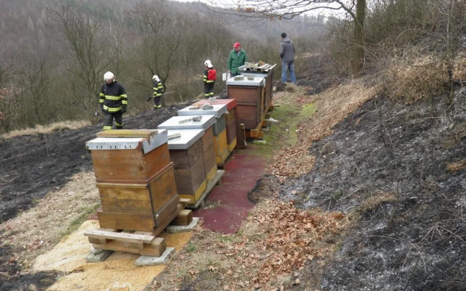 Hasiči zasahovali při úterním požáru trávy ve Ždánicích na Hodonínsku, foto: hasiči JMK