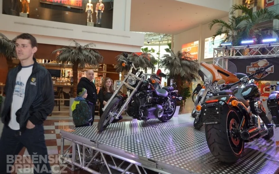 Na Motosalonu nebude chybět ani značka Harley Davidson, foto: Brněnská Drbna, Hana Mikešová