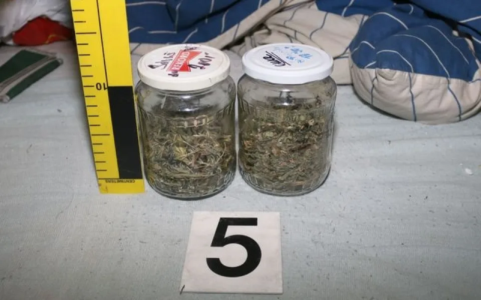 Policisté zajistili marihuanu, foto: Policie ČR