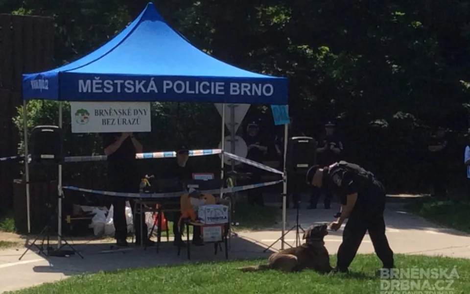 Strážníci předvedli práci psovodů, foto: Brněnská Drbna, David Zouhar