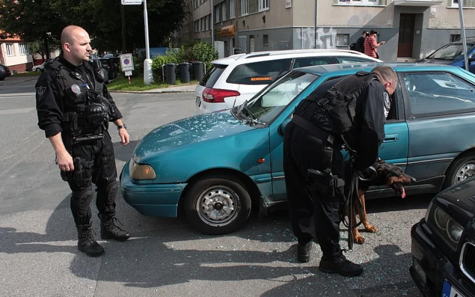 Zoufalý kříženec Dobrmana v červnu vyrazil okénko auta, strážníci jej museli uvolnit z vodítka. Foto: Městská policie Brno