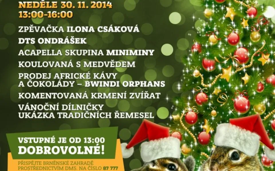 Zoo vanocni stromek