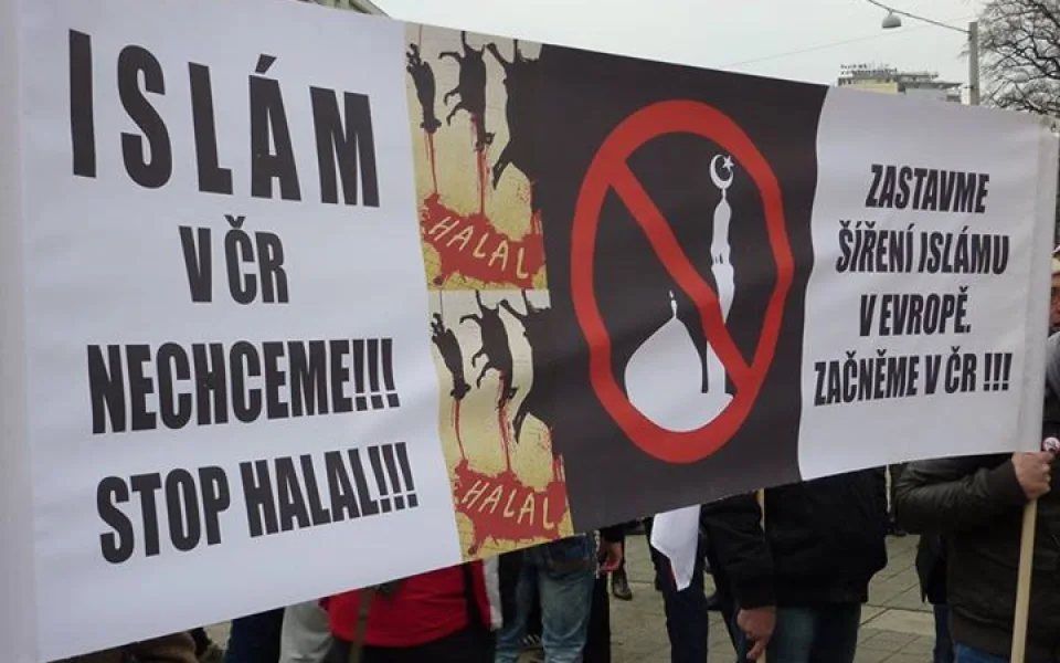 Brneěnská demonstrace