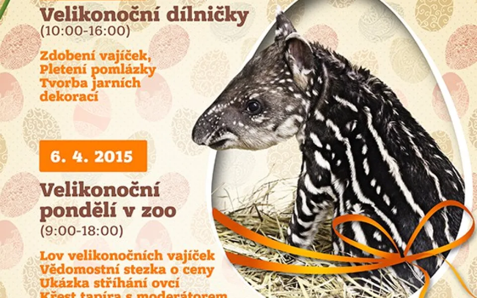 Plakát ZOO