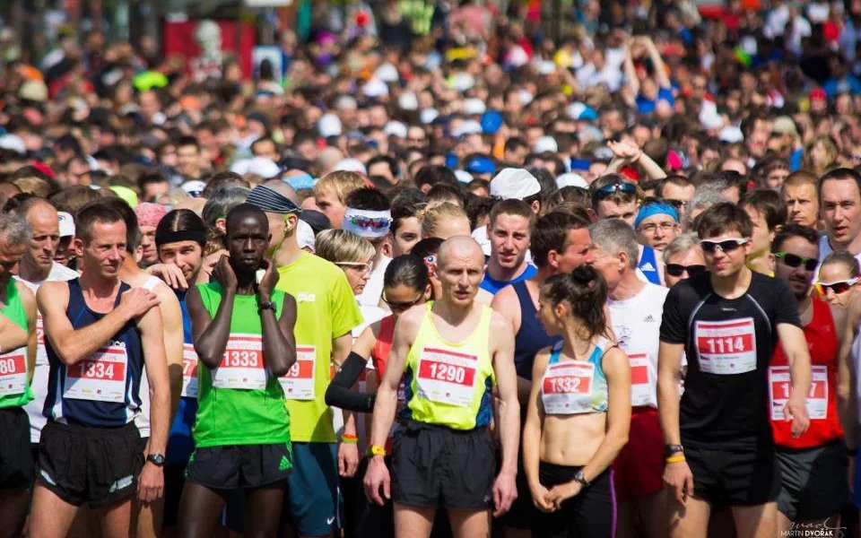 Brněnský půlmaraton
