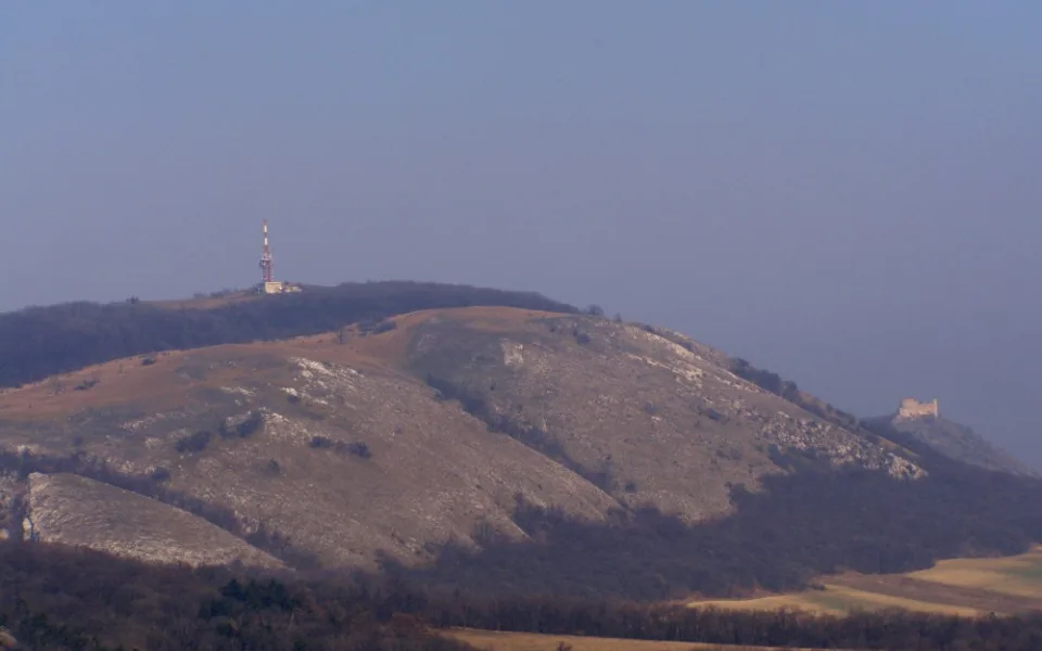 Pálava