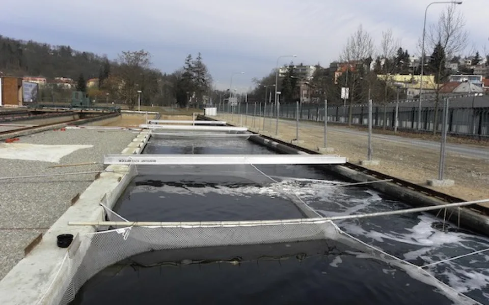foto: Morevbrne.cz