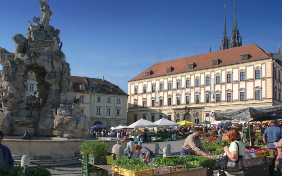 Zelný trh