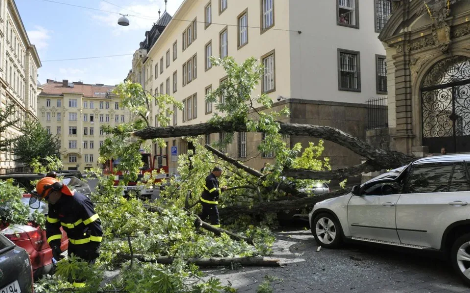 V centru Brna zdemoloval strom luxusní auto