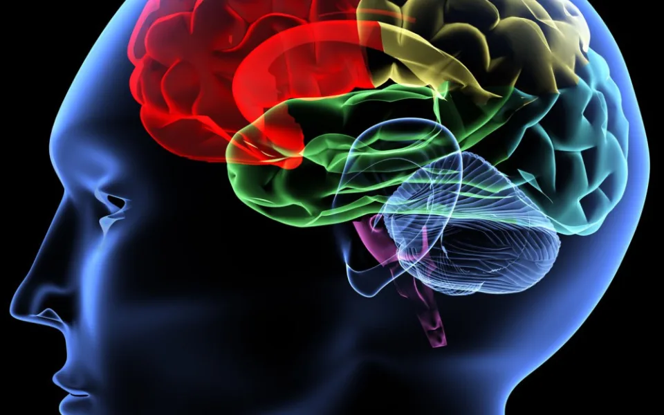 Ilustrační foto, zdroj: www.howtofascinate.com