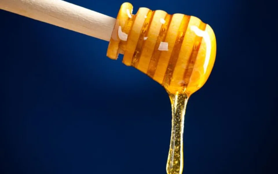 Ilustrační foto, zdroj: Shutterstock