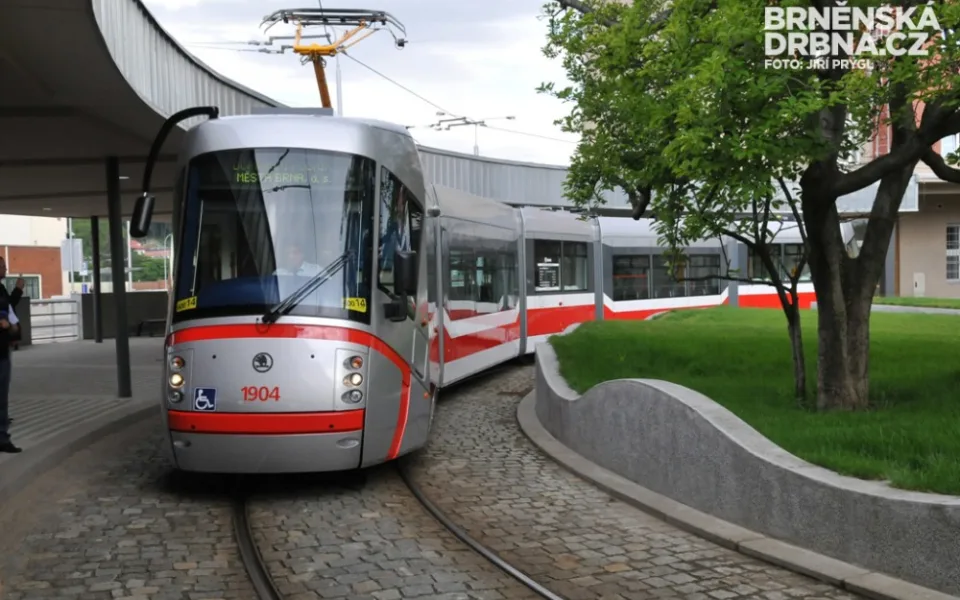 Šalina 13T