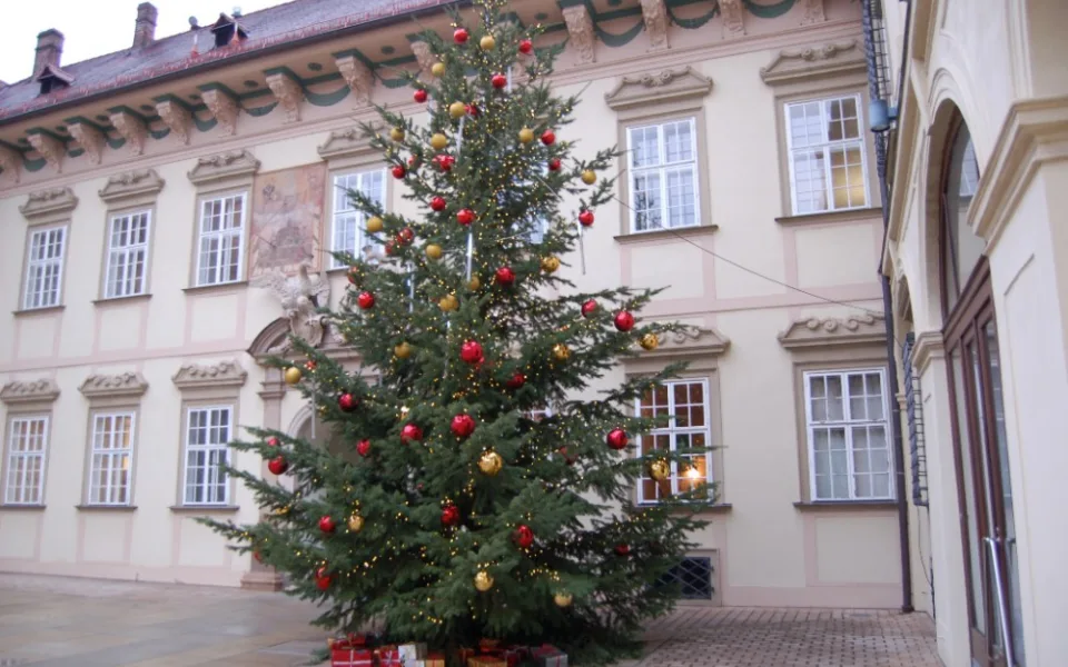 Foto: A. Pelikán