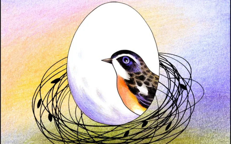 ilustrační foto 