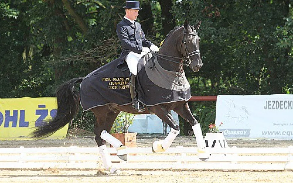 ilustrační foto, zdroj: www.dressageacademy.cz