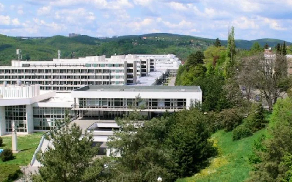 www.skm.muni.cz