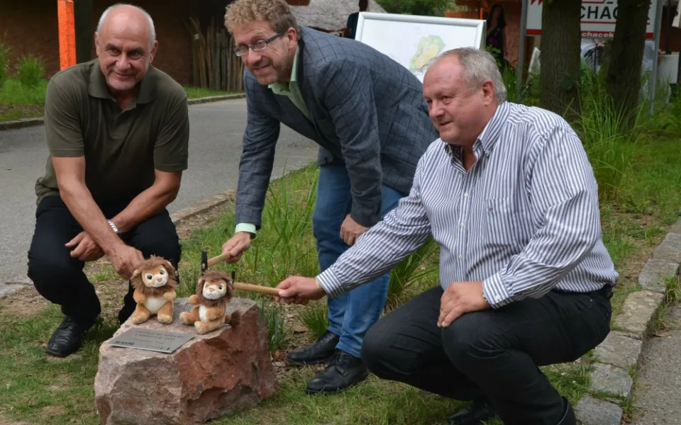 V zoo zahájili stavbu expozice lvů